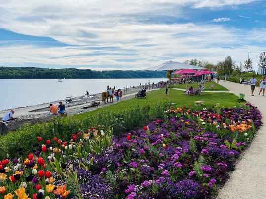 Gartenschau Überlingen Bodensee Blumenbeete am Bodensee auf der Gartenschau Überlingen