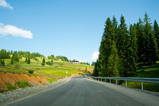 Straße mit Bäumen Straße mit Bäumen